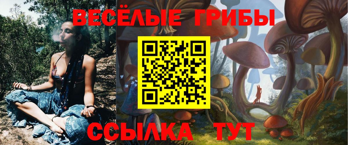 Саранск  Галлюциногенные грибы Magic Shrooms  Вход с VPN 