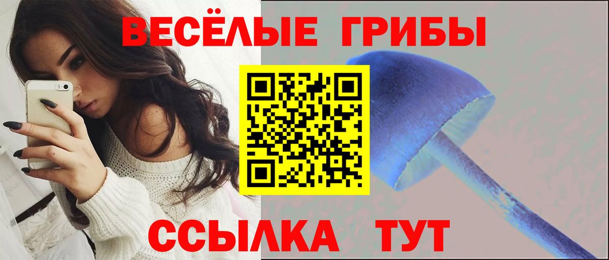 Галлюциногенные грибы Psilocybine cubensis Саранск